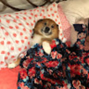 Meet your Posher, La